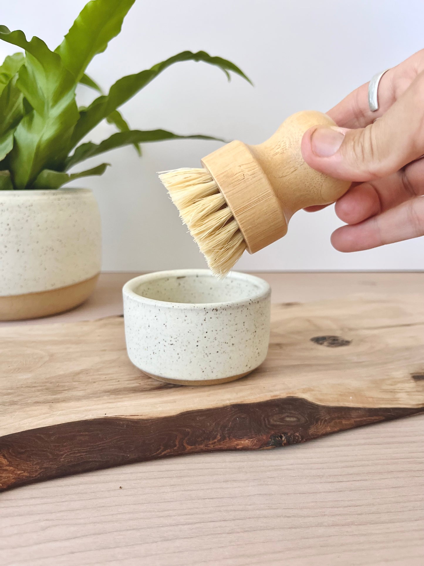Kitchen dish & brush set
