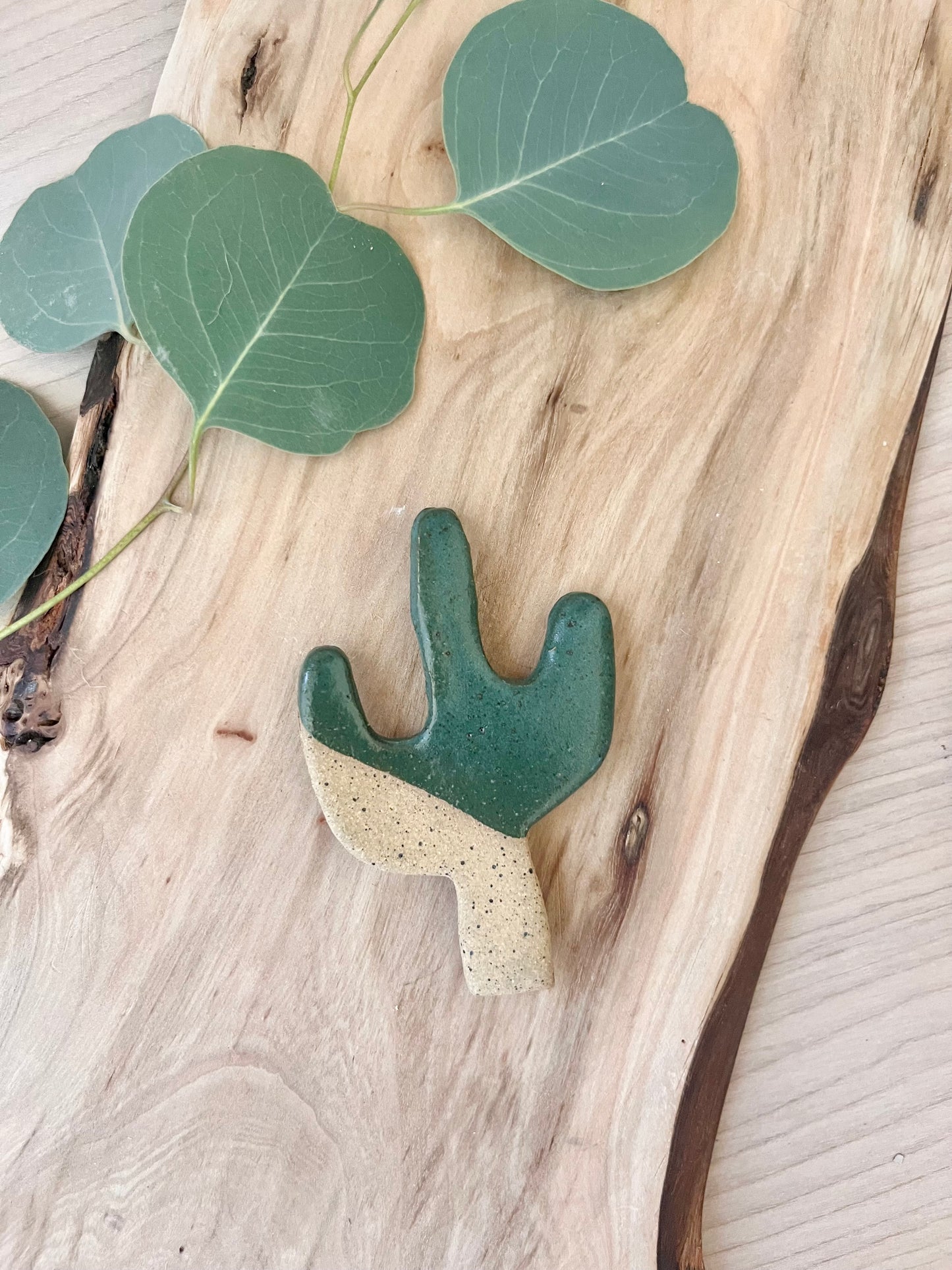 Magnet, Cactus fun