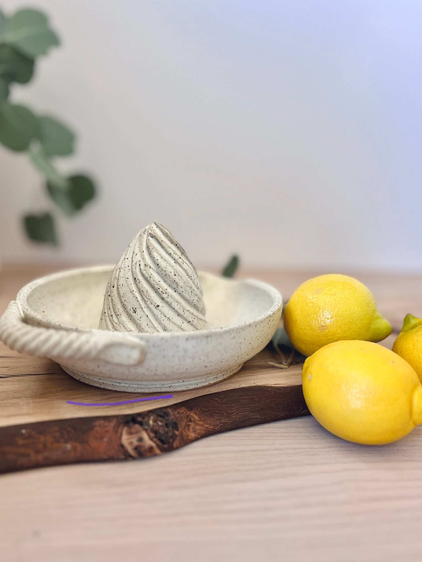Lemon juicer