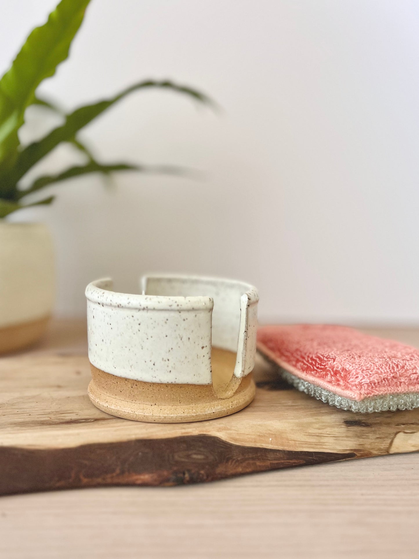Sponge holder set with sponge