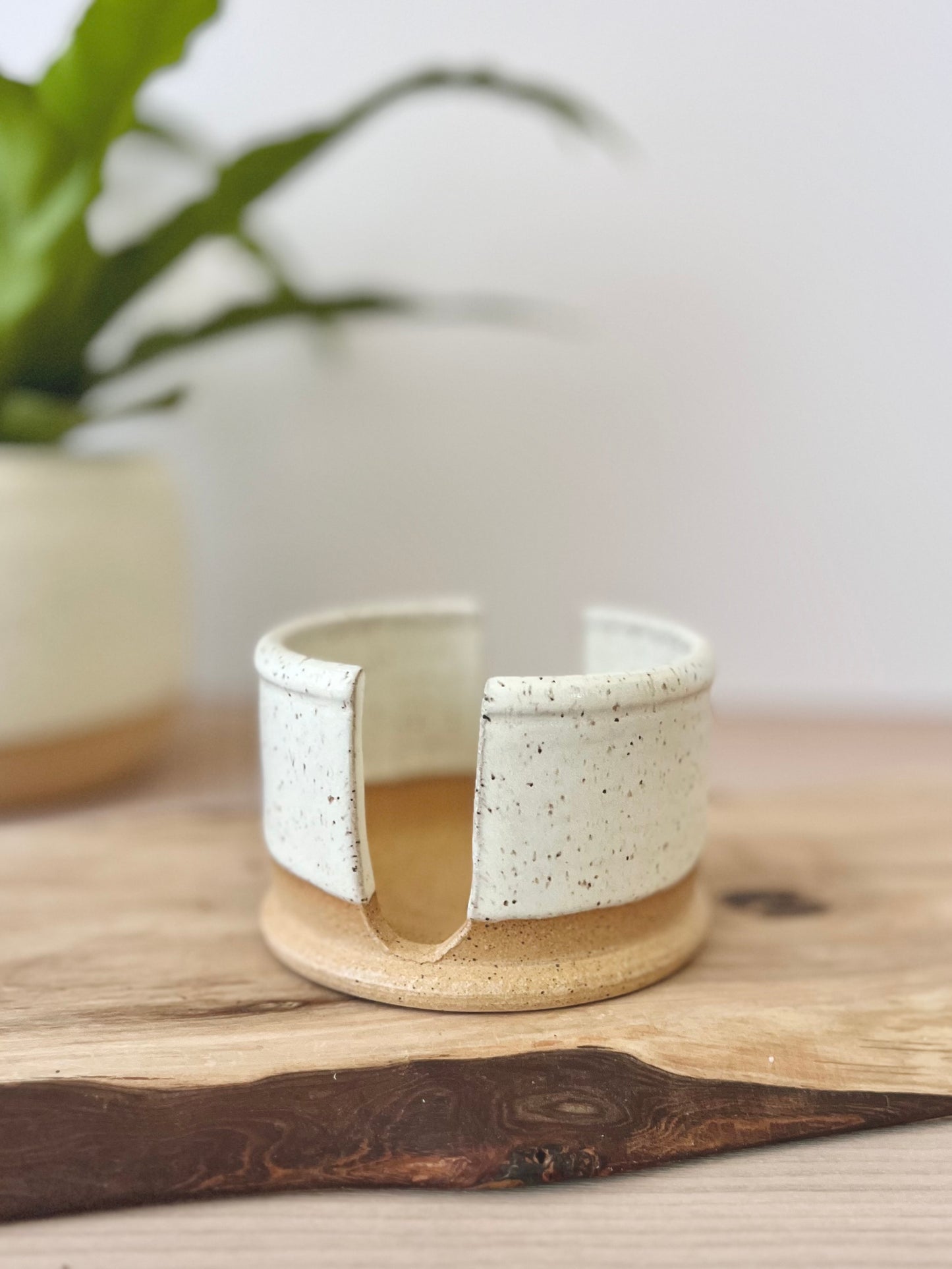 Sponge holder set with sponge