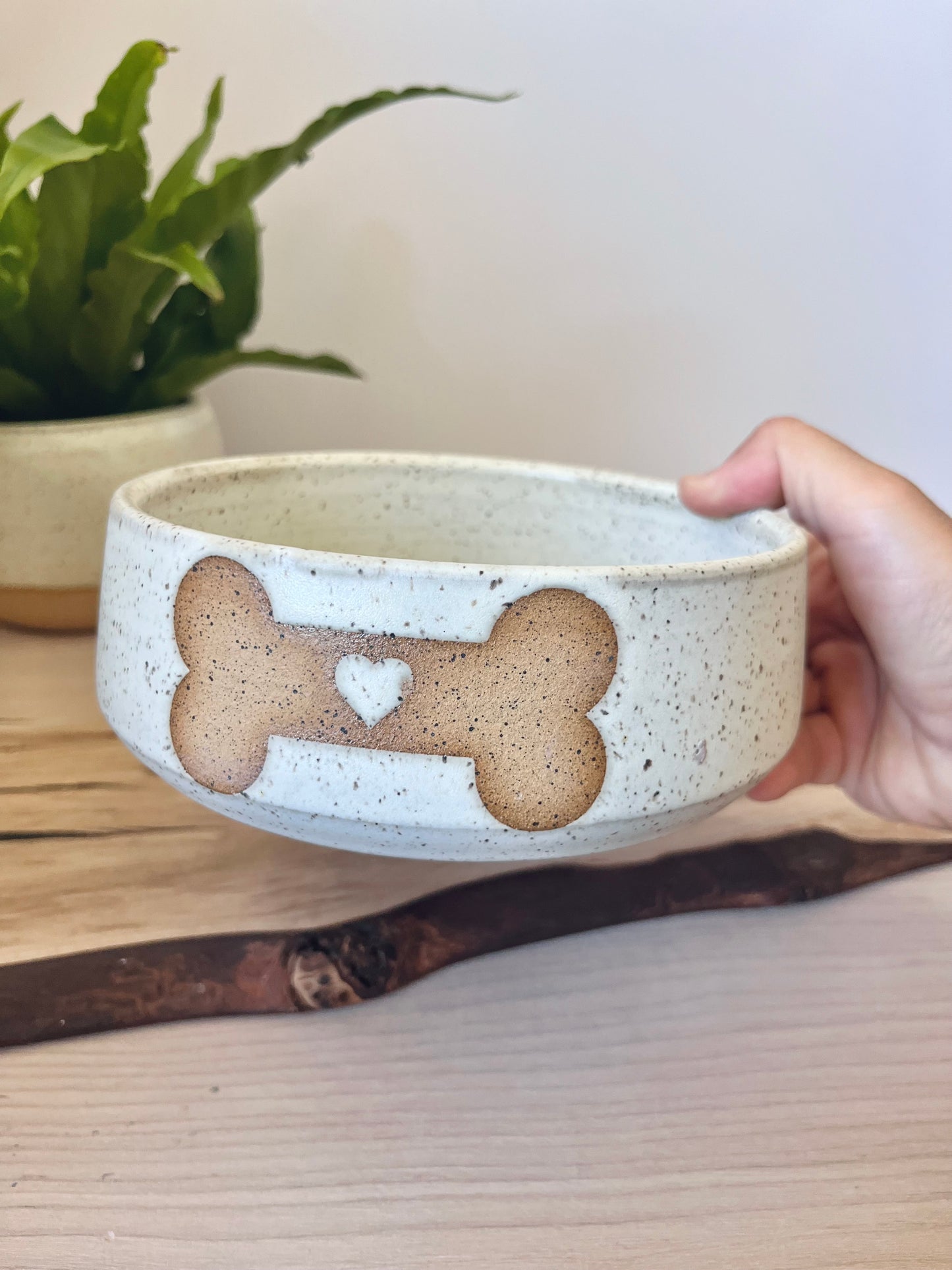 Food & water dish, All love