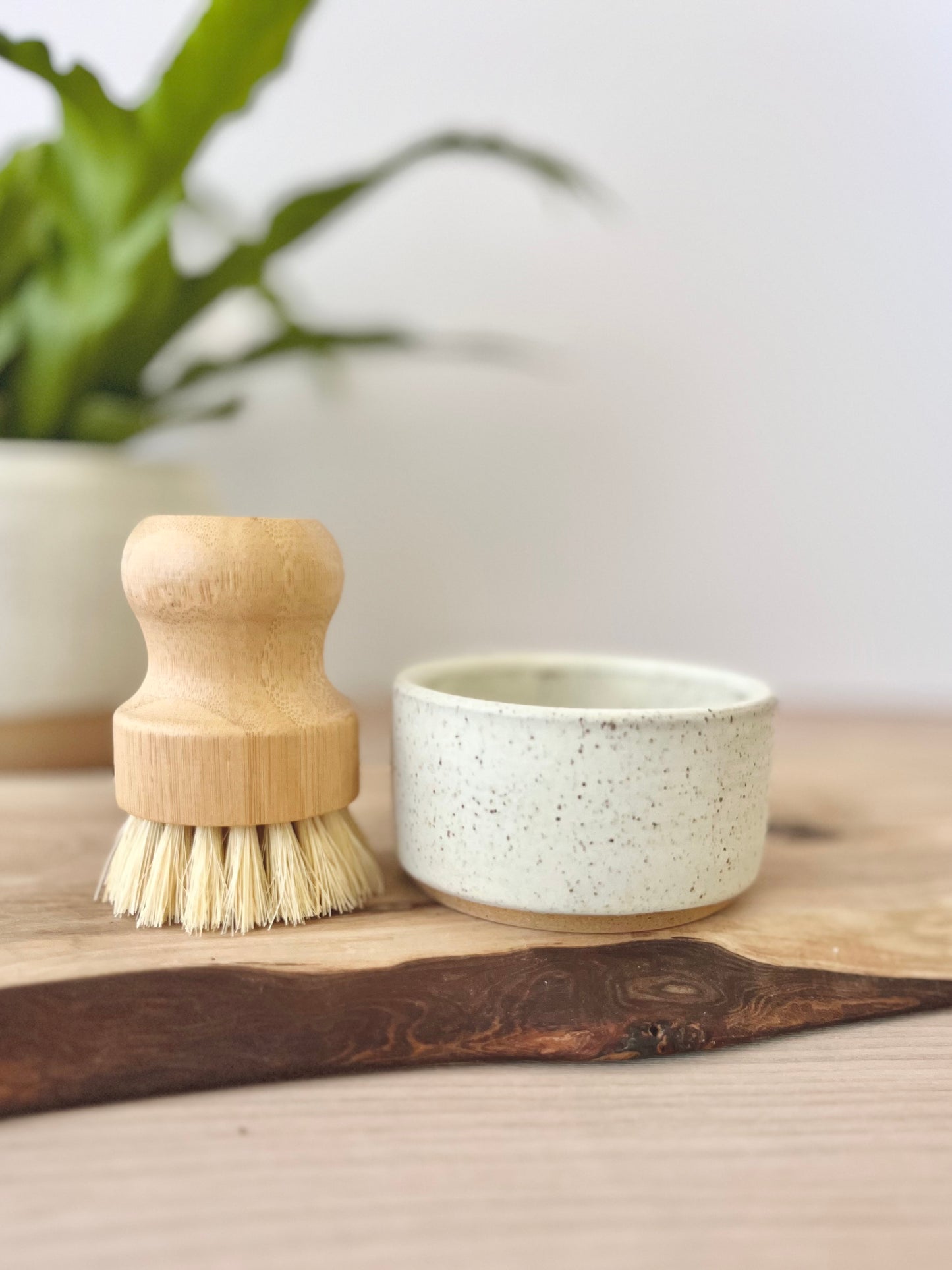 Kitchen dish & brush set