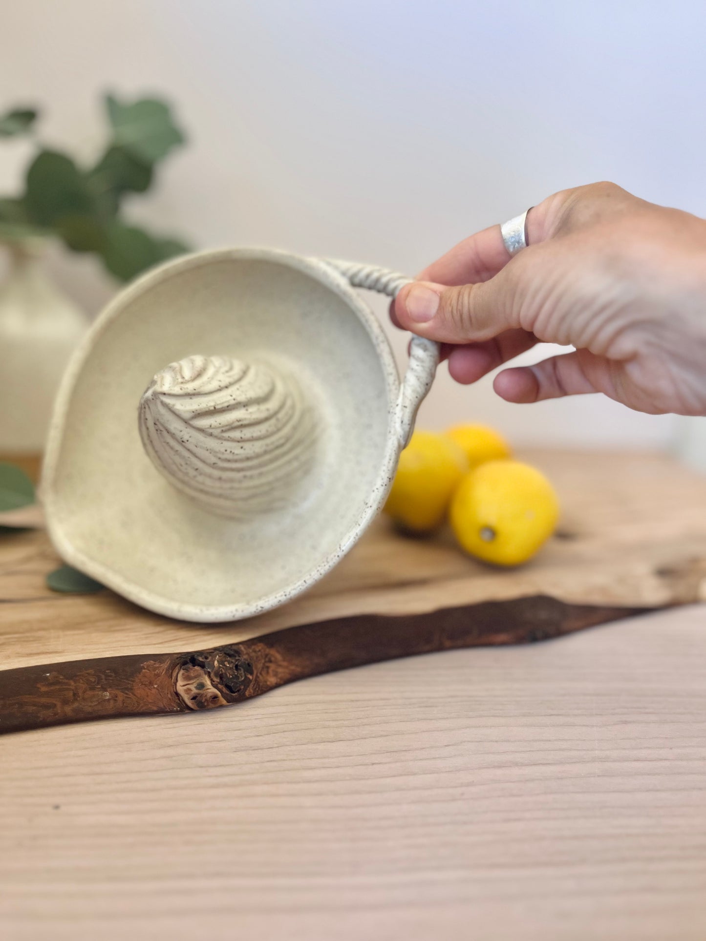 Lemon juicer