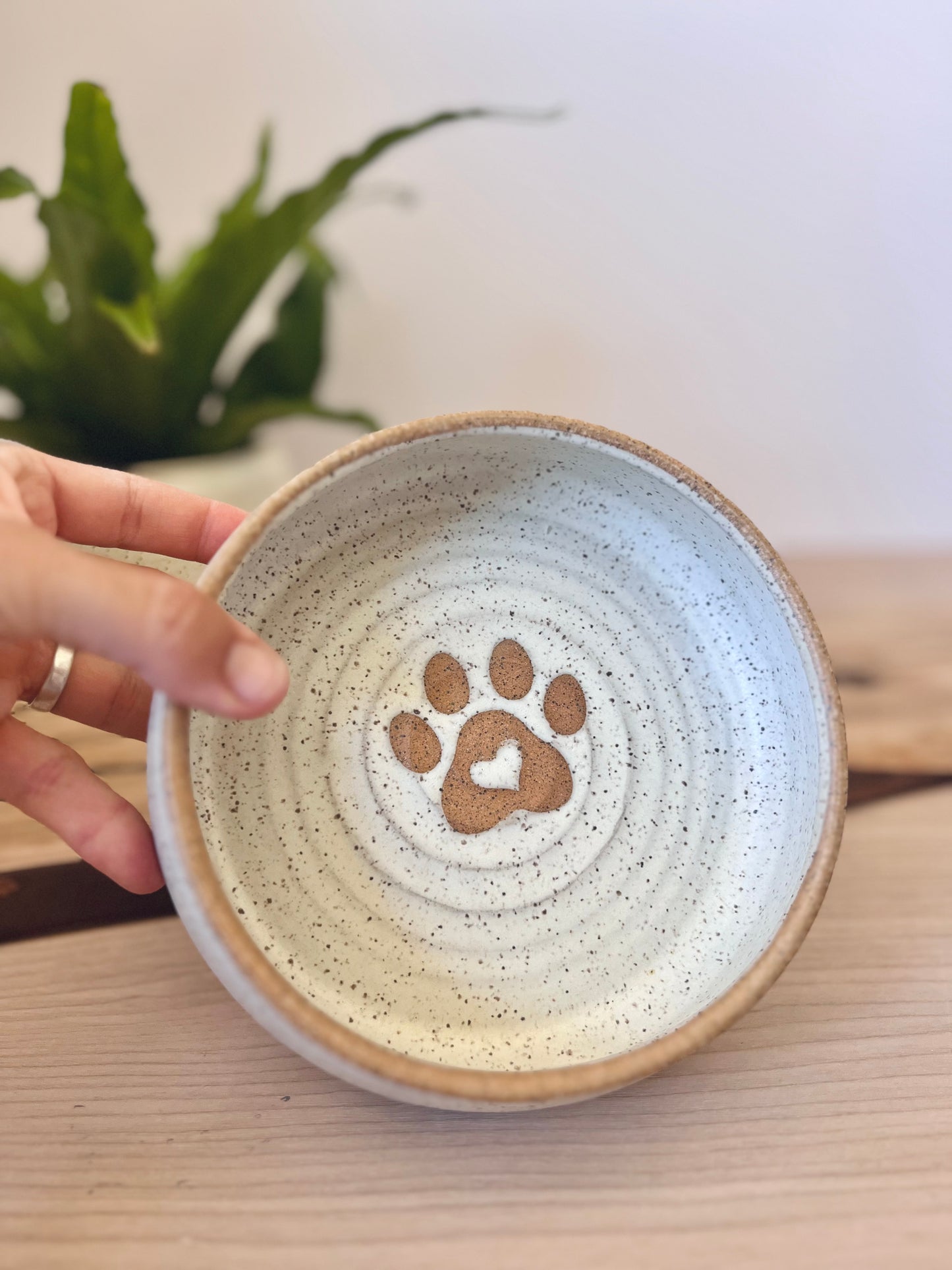 Food & water dish, Paws