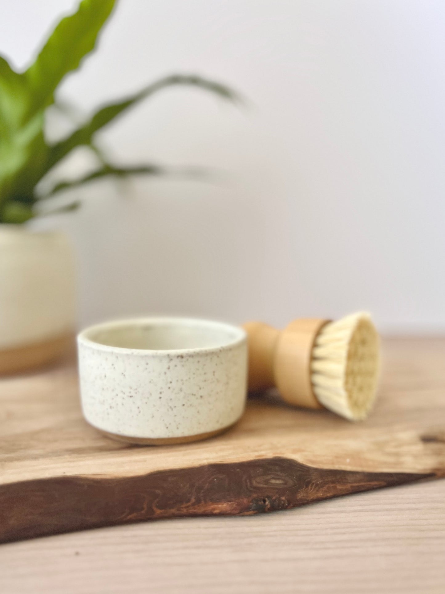 Kitchen dish & brush set